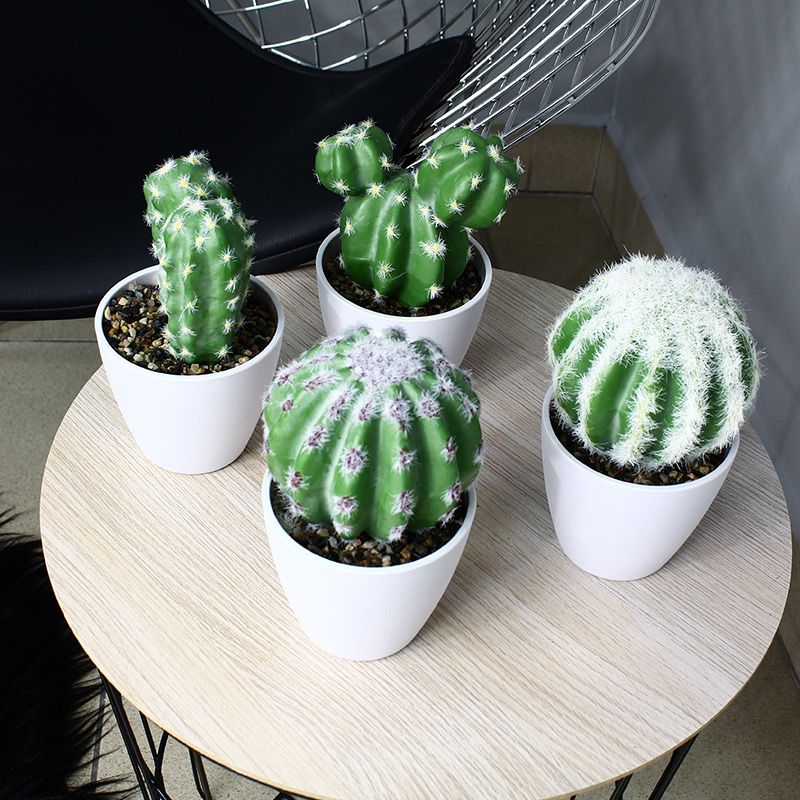 sztuczny kaktus roślina w doniczce nowoczesna