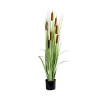 Sztuczna trawa roślina w doniczce do salonu Cattail 120 cm II TR-CAT-120-II