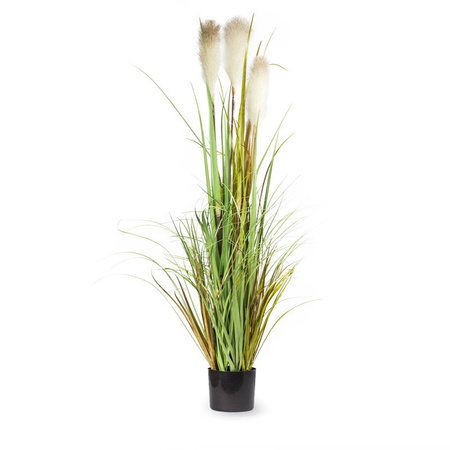 Dekoracyjna trawa pampasowa w donicy do salonu Reed 120 cm III TR-REE-120-III