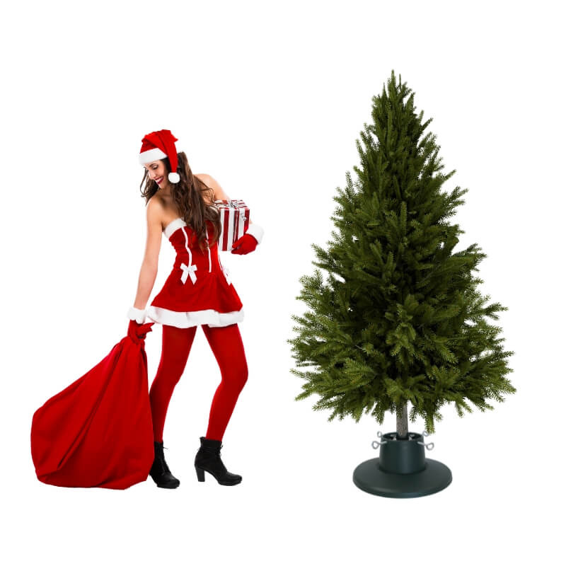 Zielony stojak na choinkę H5110GR z pojemnikiem na wodę