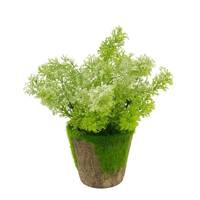 Sztuczna roślina w doniczce z kory i mchu dekoracyjna zielona UC30510