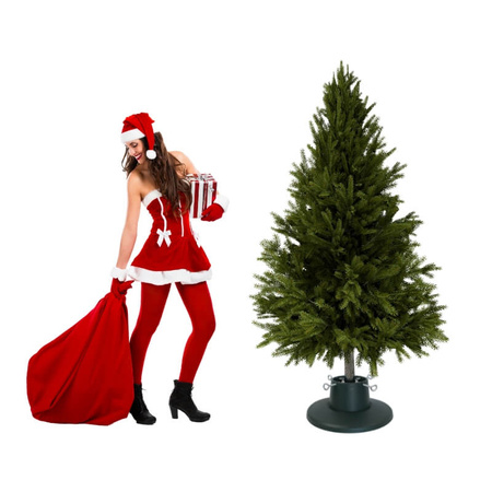 Stojak na choinkę – zielony, pojemnik na wodę, do drzewka do 2,1 m H5110GR 