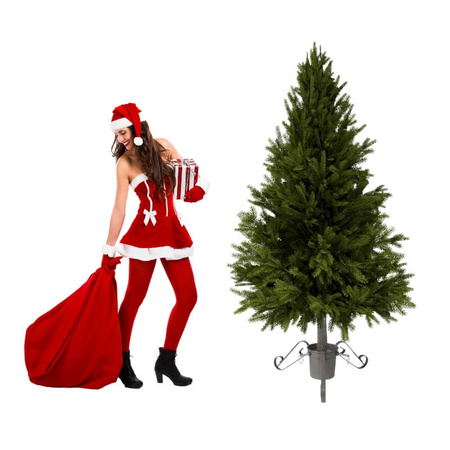 Stojak na choinkę – srebrny metalowy trójnóg z pojemnikiem na wodę, do 2,1 m H6303G