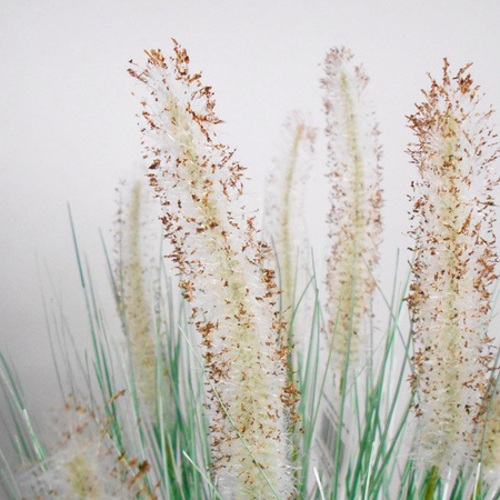 Sztuczna trawa roślina w doniczce do salonu Dogtail 53 cm VI TR-DOG-053-VI 