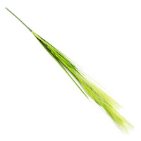 Sztuczna trawa dekoracyjna pompasowa roślina do salonu źdźbło pęk trawy jasno zielona DFS016-2
