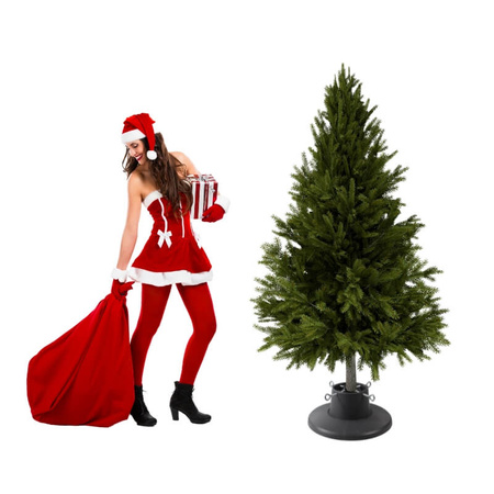 Stojak na choinkę – szary, pojemnik na wodę, dla drzewek do 2,1 m H5110G