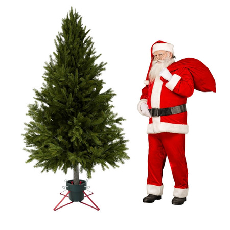 Stojak choinkowy duży pojemnik na wodę, do drzewa 2,5 m H5103GR-R