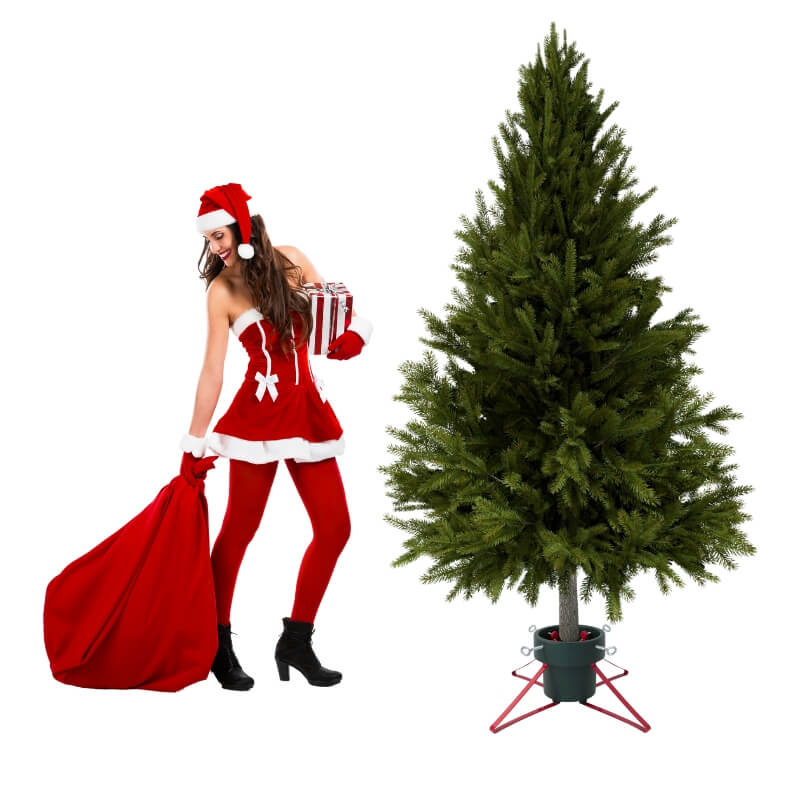 Stojak choinkowy duży pojemnik na wodę, do drzewa 2,5 m H5103GR-R pol_pl_Stojak-choinkowy-duzy-pojemnik-na-wode-do-drzewa-2-5-m-H5103GR-R-3769_5