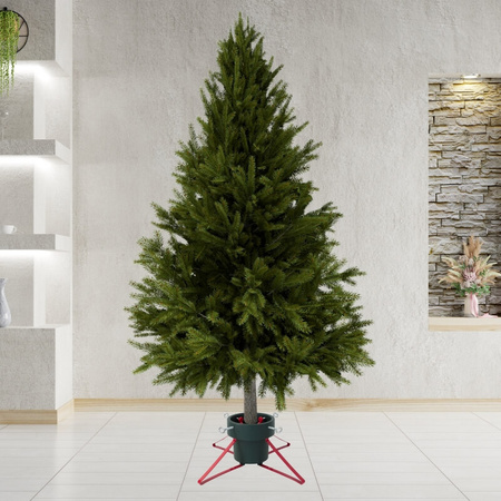 Stojak choinkowy duży pojemnik na wodę, do drzewa 2,5 m H5103GR-R