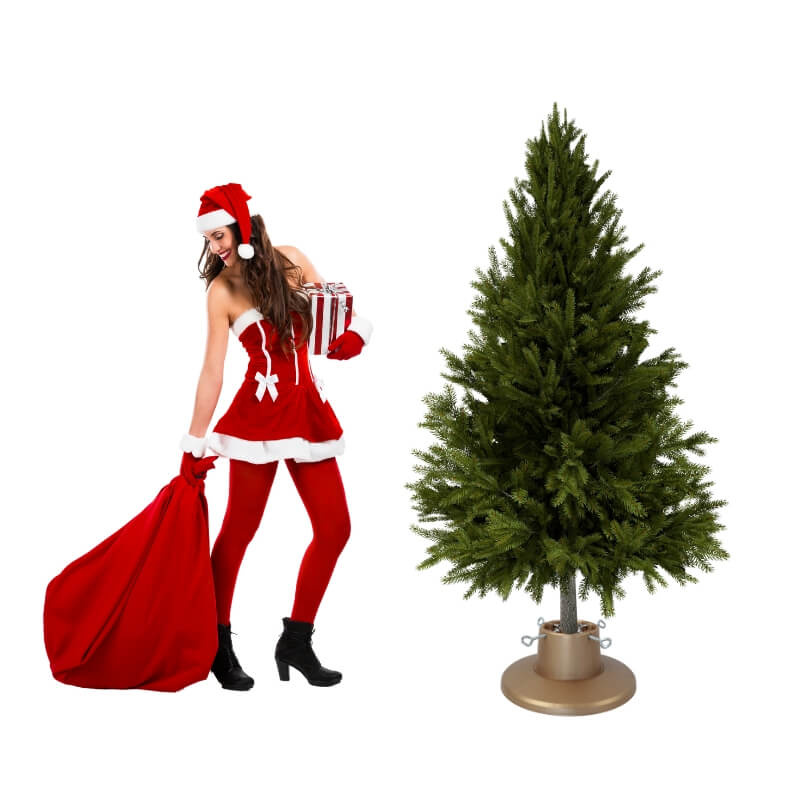 Złoty stojak na choinkę H5110GO z pojemnikiem na wodę