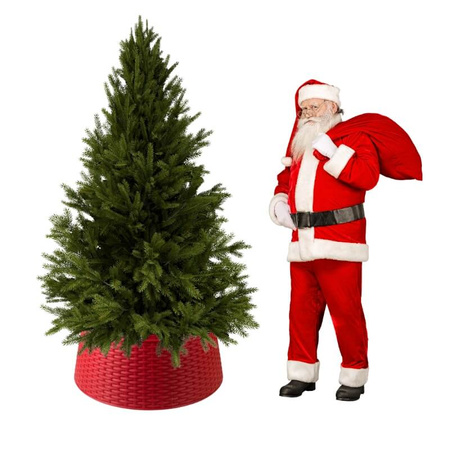 Osłona pod choinkę śr.65cm wys. 23cm koszowa, składana osłona na stojak choinkowy, czerwona H2203-23R