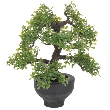 Roślina liściasta ozdoba restauracji bonsai w donicy 32 cm - 312180 B