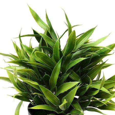 Sztuczna roślina w doniczce trawa dekoracyjna do salonu fejka zielona UC60504