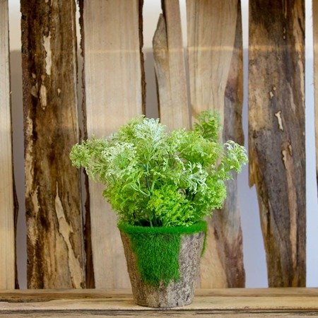 Sztuczna roślina w doniczce z kory i mchu dekoracyjna zielona UC30510