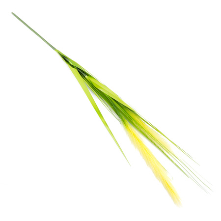 Sztuczna trawa dekoracyjna sceniczna roślina do salonu źdźbło pęk trawy żółta DFS016-1