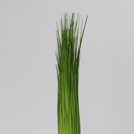 Sztuczna trawa roślina snopek do salonu Bundle 2 43 cm II TR-BUN2-043-II
