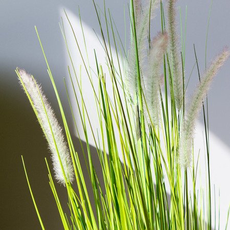 Sztuczna trawa roślina w doniczce do salonu Dogtail 90 cm I TR-DOG-090-I