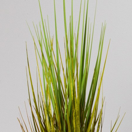 Sztuczna trawa roślina w doniczce do salonu Onion 53 cm II TR-ONI-053-II