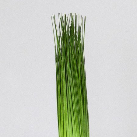 Sztuczna trawa roślina z opaską do salonu Bundle 30 cm II TR-BUN-030-II